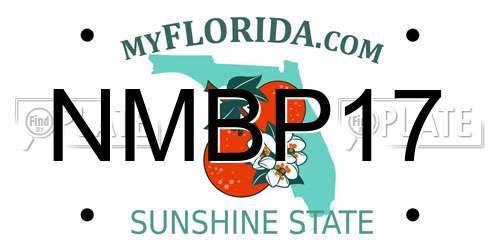NMBP17 Florida License Plate