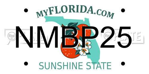 NMBP25 Florida License Plate