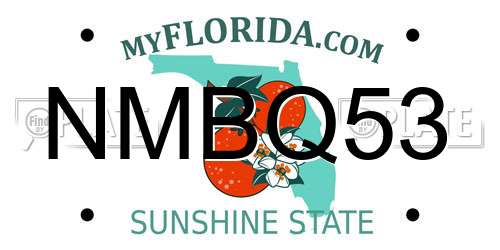 NMBQ53 Florida License Plate