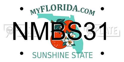 NMBS31 Florida License Plate