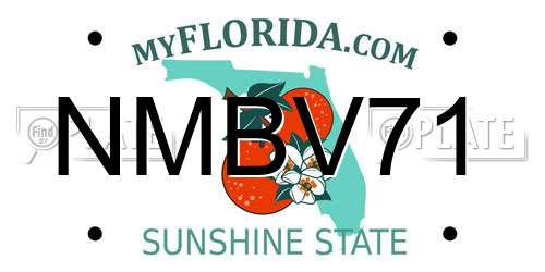 NMBV71 Florida License Plate