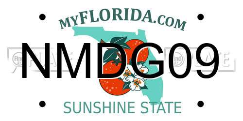 NMDG09 Florida License Plate