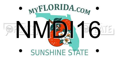NMDI16 Florida License Plate