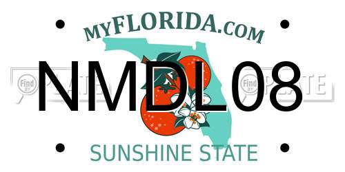 NMDL08 Florida License Plate
