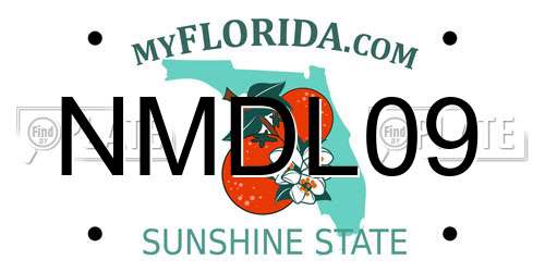 NMDL09 Florida License Plate