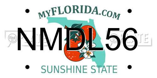NMDL56 Florida License Plate