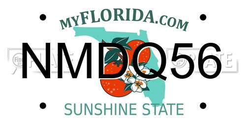 NMDQ56 Florida License Plate