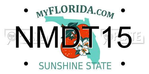 NMDT15 Florida License Plate