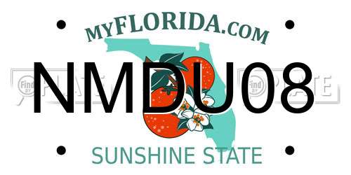 NMDU08 Florida License Plate