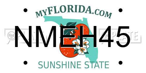 NMEH45 Florida License Plate