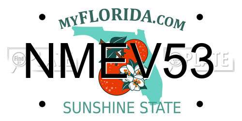 NMEV53 Florida License Plate