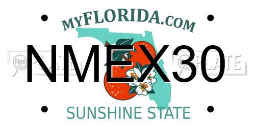 NMEX30 Florida License Plate