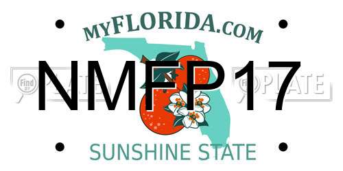 NMFP17 Florida License Plate