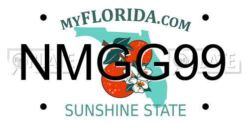 NMGG99 Florida License Plate