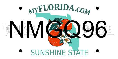 NMGQ96 Florida License Plate
