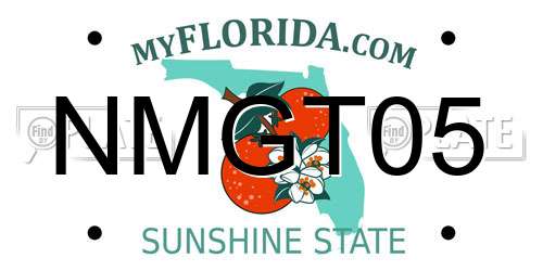 NMGT05 Florida License Plate