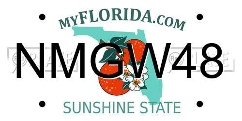 NMGW48 Florida License Plate