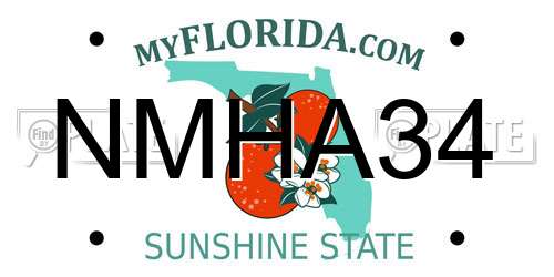 NMHA34 Florida License Plate