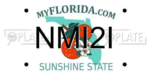 NMI2I Florida License Plate