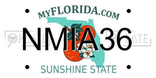 NMIA36 Florida License Plate