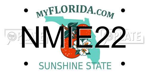 NMIE22 Florida License Plate