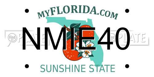 NMIE40 Florida License Plate