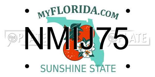 NMIJ75 Florida License Plate