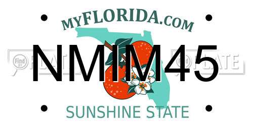 NMIM45 Florida License Plate