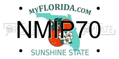 NMIP70 Florida License Plate