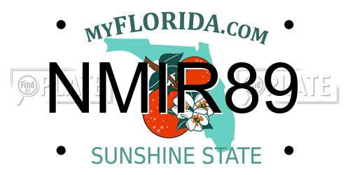 NMIR89 Florida License Plate