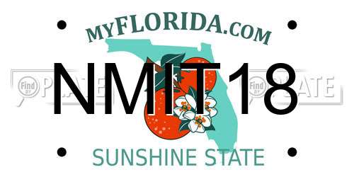 NMIT18 license plate in FL state