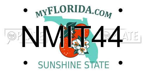 NMIT44 Florida License Plate