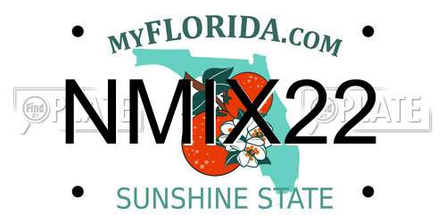 NMIX22 Florida License Plate
