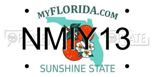 NMIY13 Florida License Plate