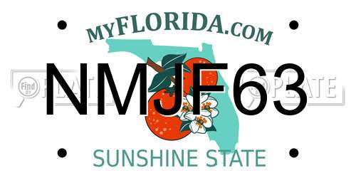 NMJF63 Florida License Plate