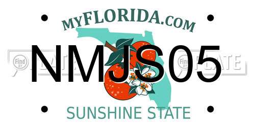 NMJS05 Florida License Plate