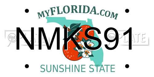 NMKS91 Florida License Plate