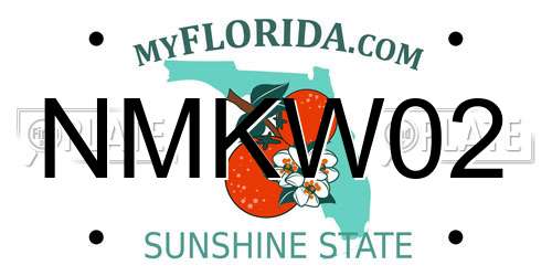 NMKW02 Florida License Plate