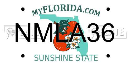 NMLA36 Florida License Plate