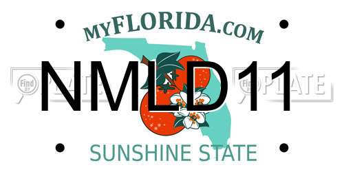 NMLD11 Florida License Plate