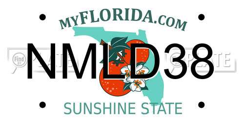 NMLD38 Florida License Plate