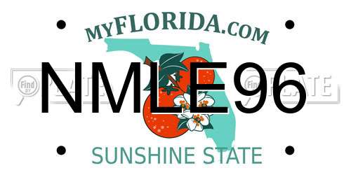 NMLE96 Florida License Plate
