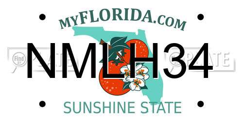 NMLH34 Florida License Plate