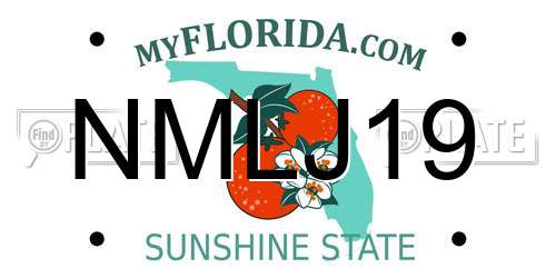 NMLJ19 Florida License Plate