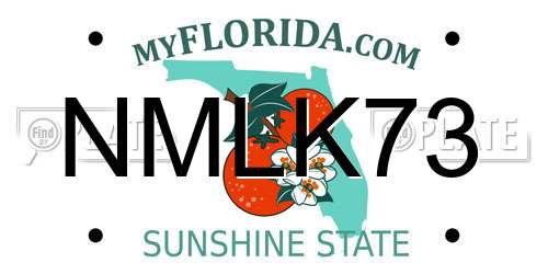 NMLK73 Florida License Plate