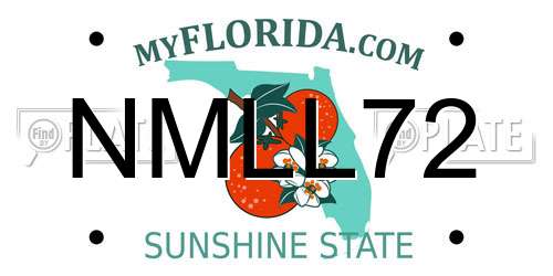 NMLL72 Florida License Plate