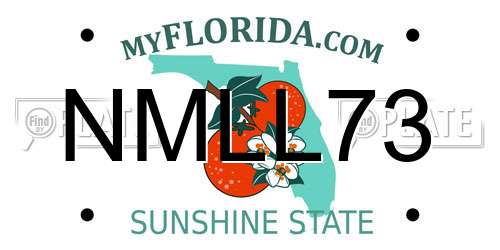 NMLL73 Florida License Plate
