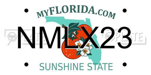 NMLX23 Florida License Plate