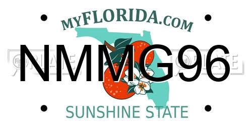 NMMG96 Florida License Plate