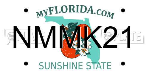 NMMK21 Florida License Plate